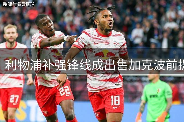 利物浦补强锋线成出售加克波前提条件